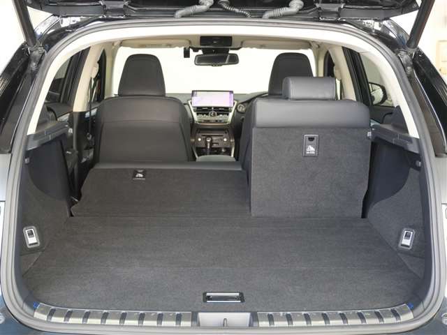 Lexus NX 12