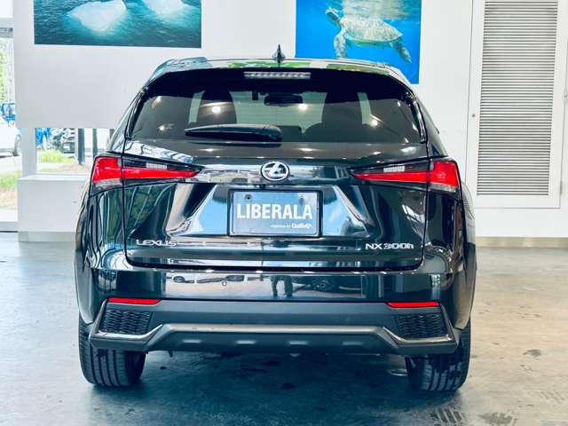 Lexus NX 11