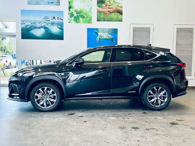 Lexus NX 12
