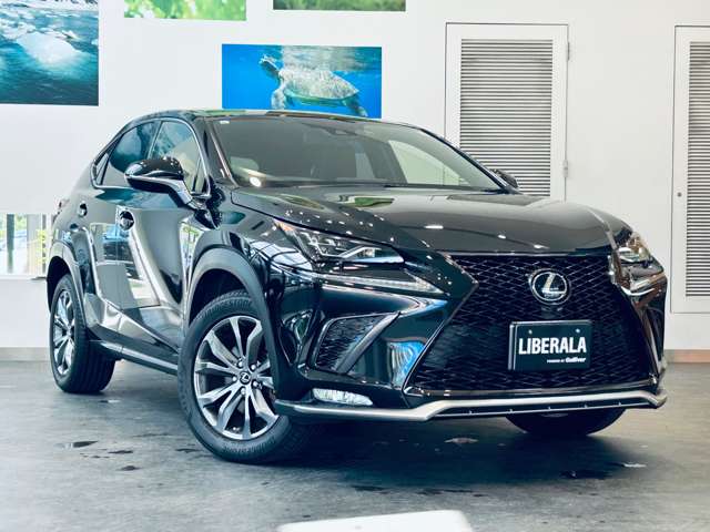 Lexus NX 7
