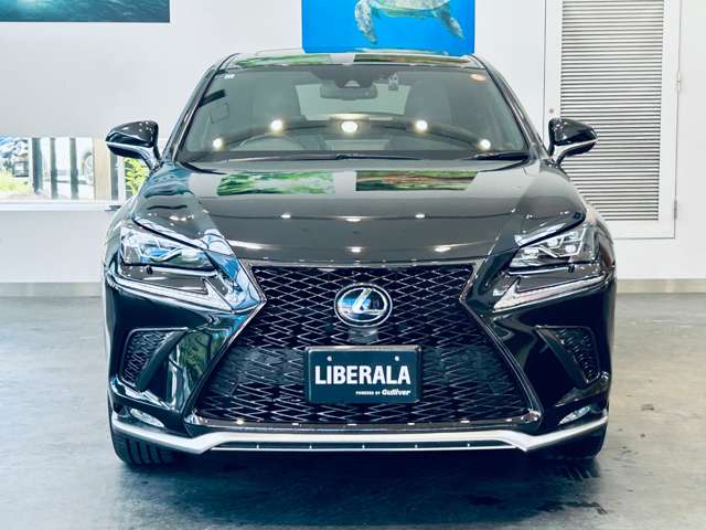 Lexus NX 8