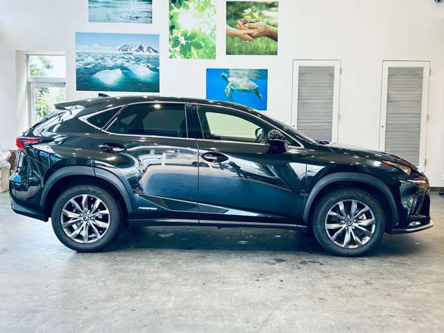 Lexus NX 9
