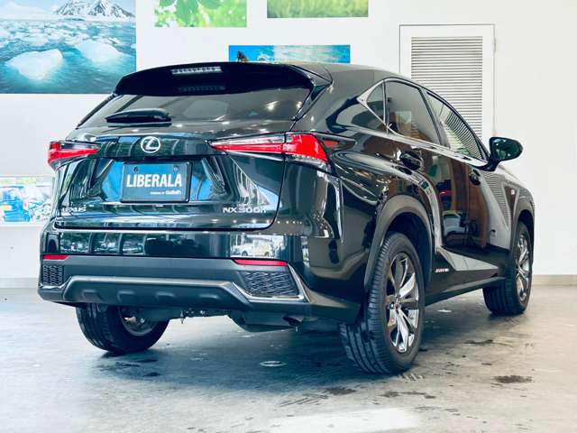 Lexus NX 10