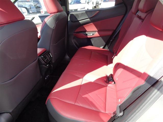 Lexus NX 12