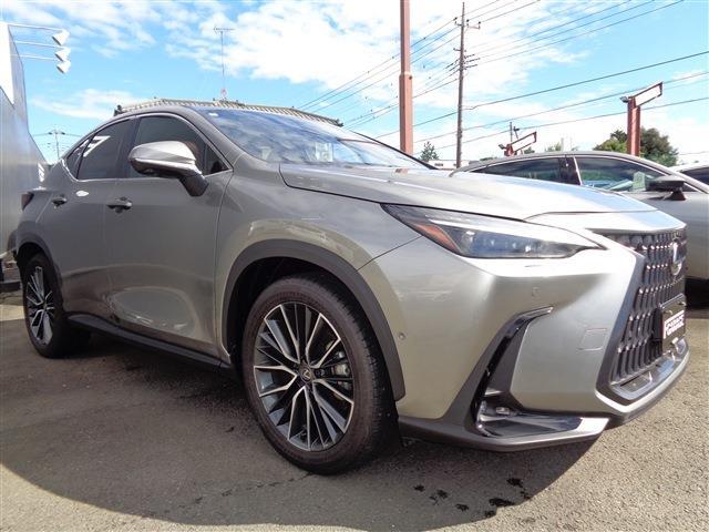 Lexus NX 3