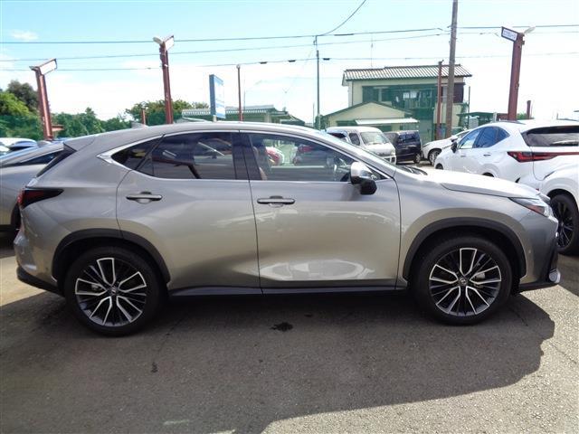 Lexus NX 4