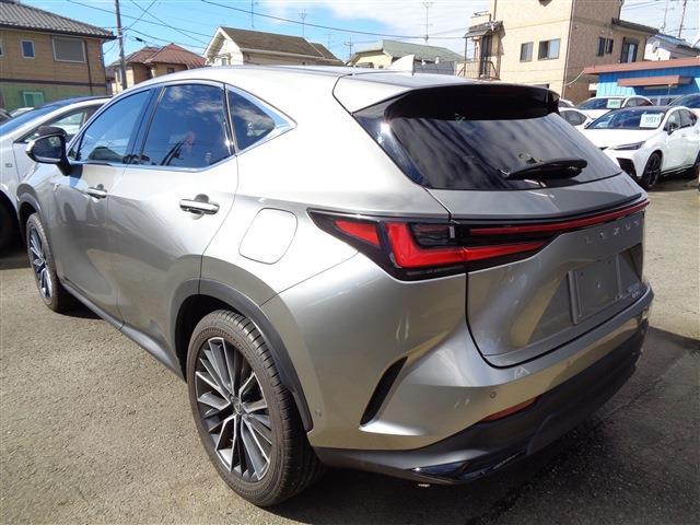 Lexus NX 6