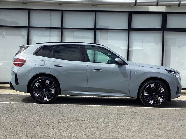 BMW X3 8