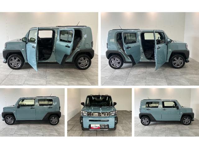 Daihatsu Taft 8