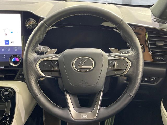 Lexus NX 11