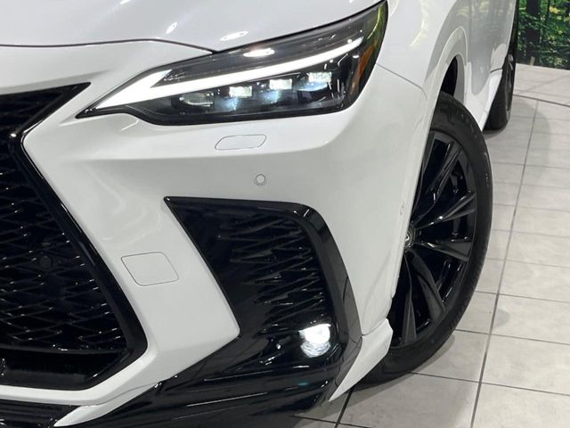 Lexus NX 12