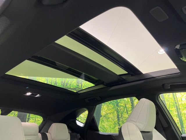 Lexus NX 3