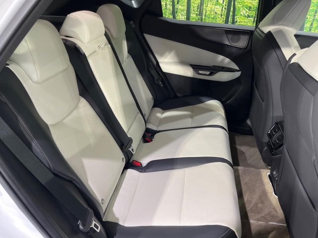 Lexus NX 9