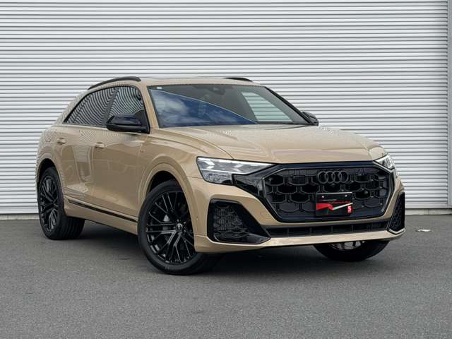 Audi Q8 6