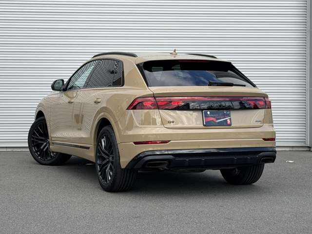 Audi Q8 10