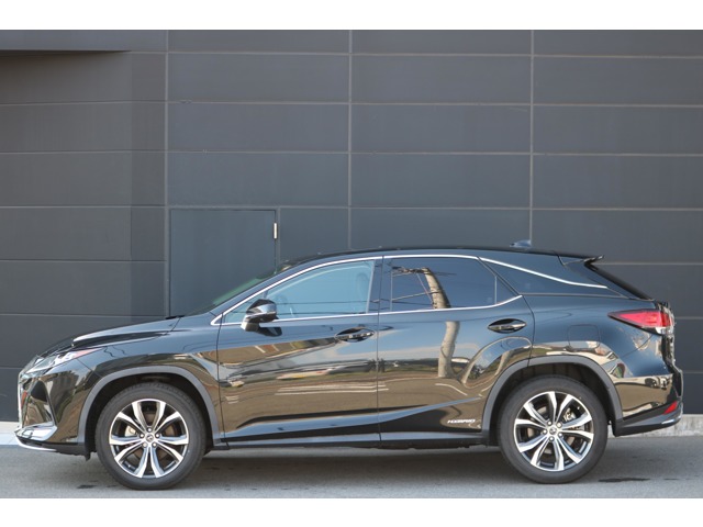 Lexus RX 11
