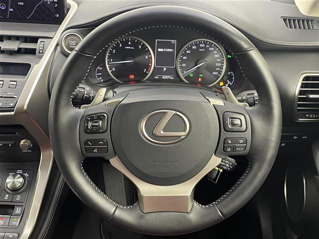 Lexus NX 12