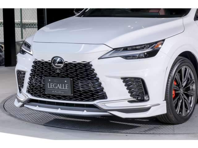 Lexus RX 11