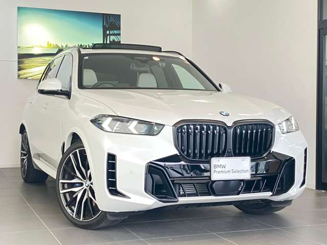 BMW X5 9