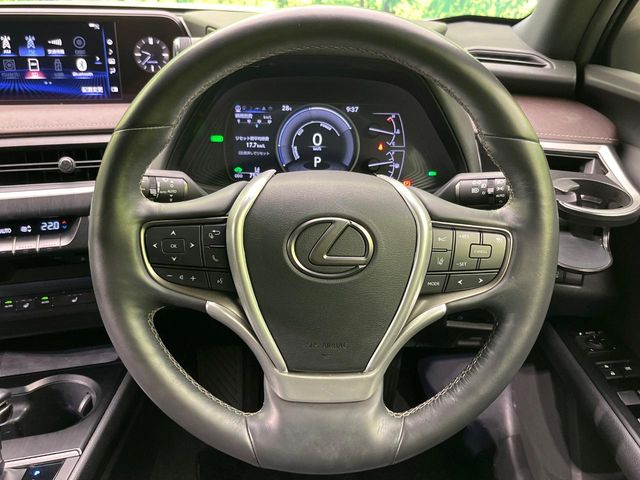 Lexus UX 11