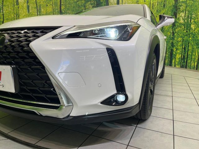 Lexus UX 12