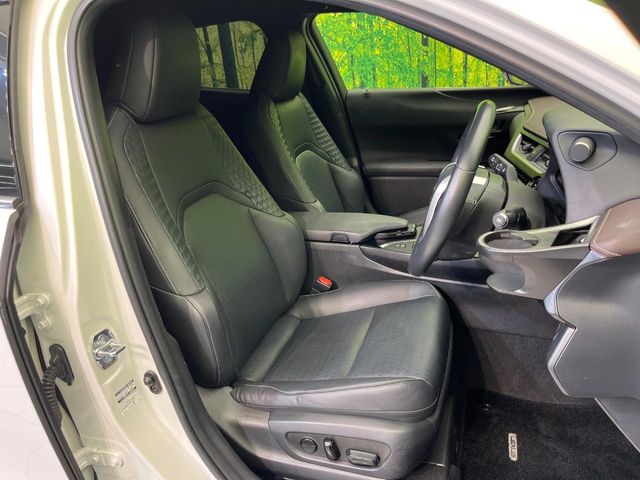 Lexus UX 8