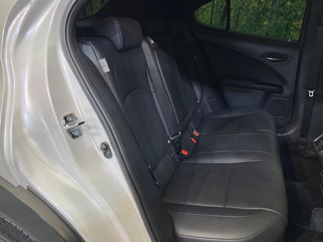 Lexus UX 9