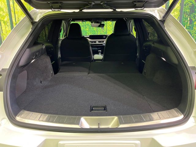 Lexus UX 10