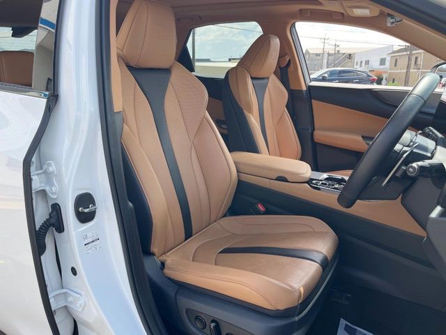 Lexus NX 12