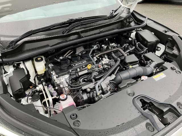 Lexus LBX 7