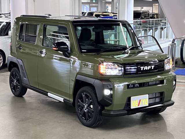 Daihatsu Taft 8