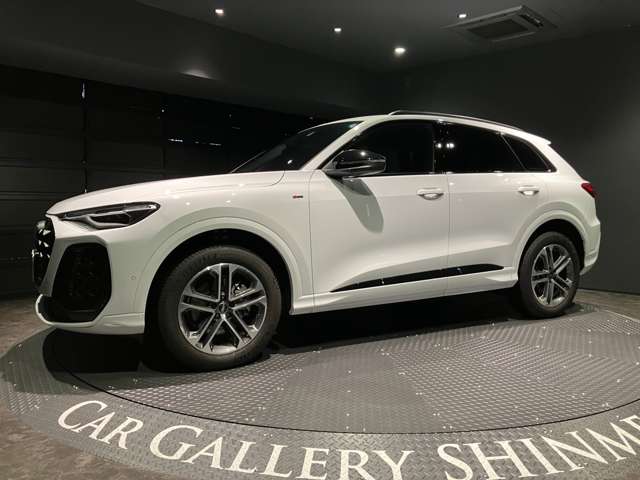 Audi Q5 10