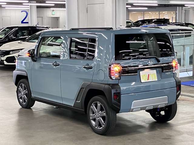 Daihatsu Taft 11