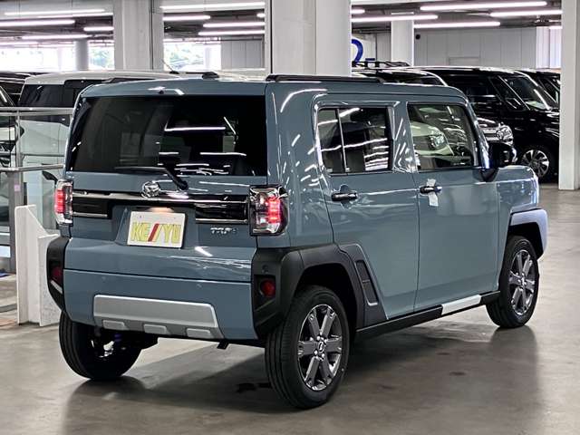 Daihatsu Taft 6