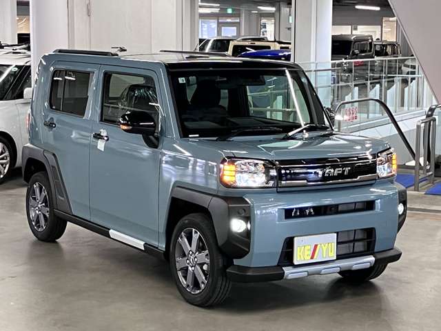 Daihatsu Taft 8