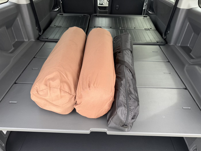 Toyota Voxy 10