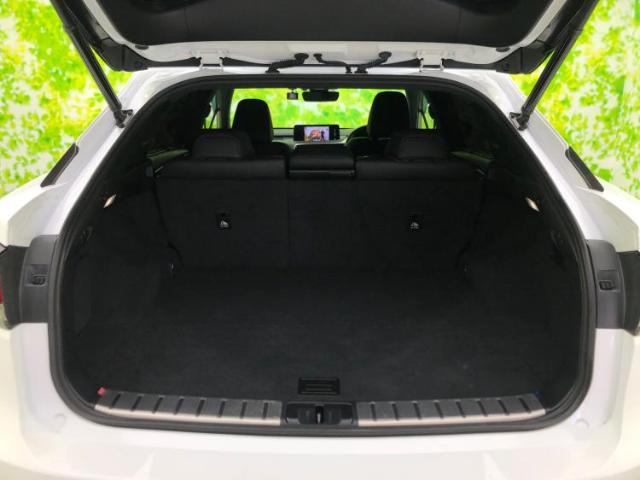 Lexus RX 10