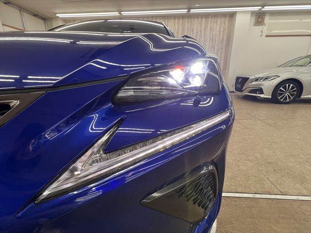 Lexus NX 11