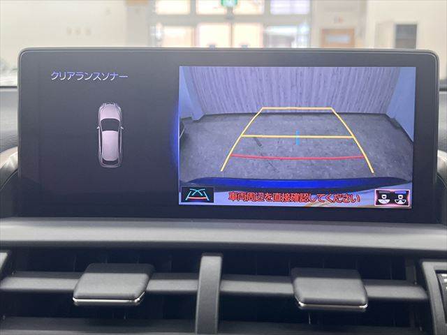 Lexus NX 6