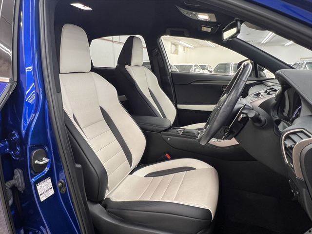 Lexus NX 7