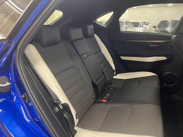 Lexus NX 8