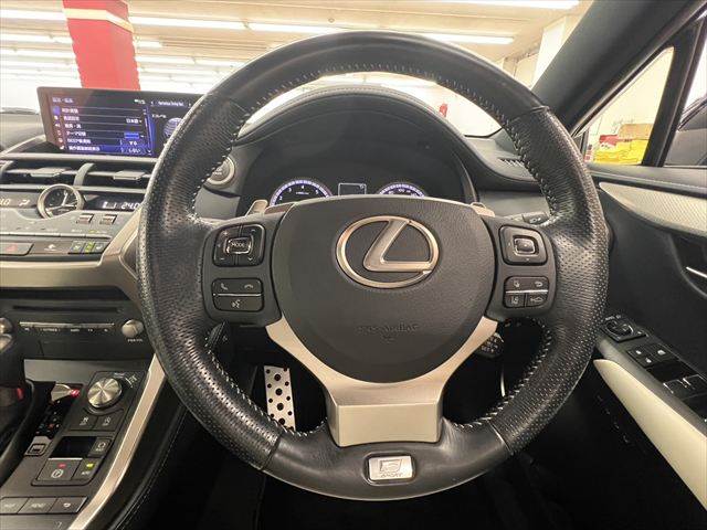 Lexus NX 10