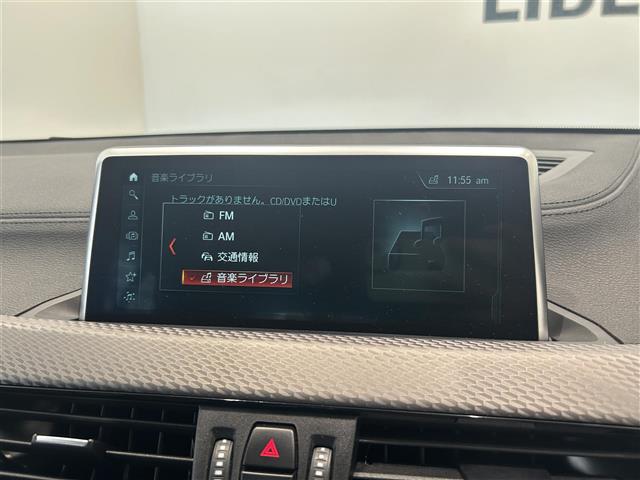 BMW X2 10