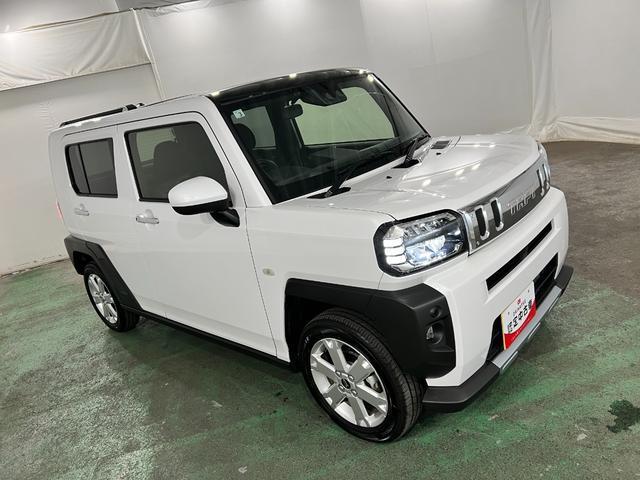 Daihatsu Taft 9