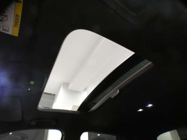 Audi SQ2 12