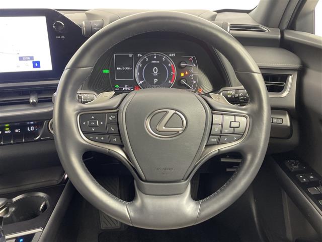 Lexus UX 11