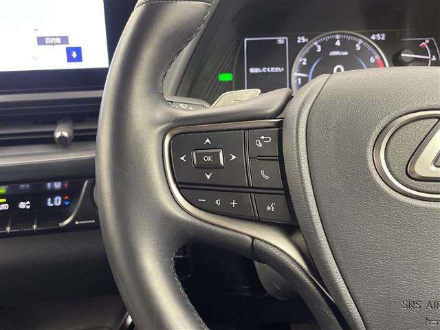 Lexus UX 12