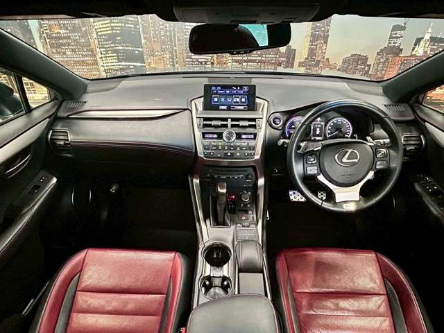 Lexus NX 5