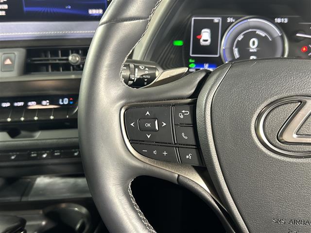 Lexus UX 12