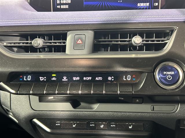 Lexus UX 8